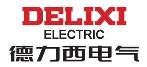 Delixi Electric